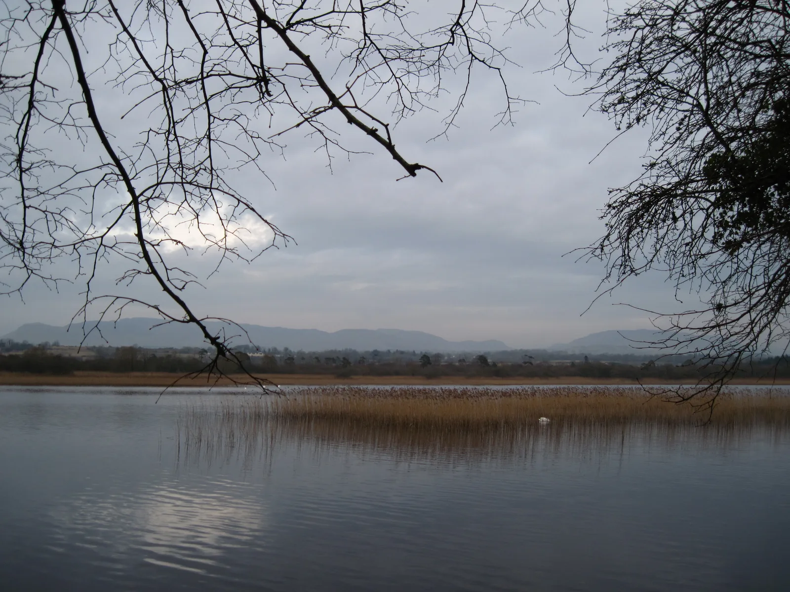 A view across Lough Gill, Ireland.